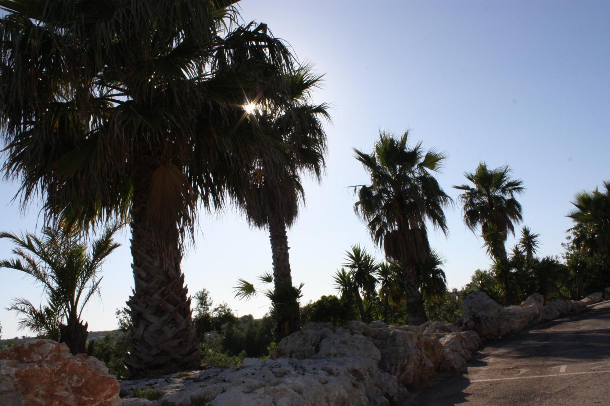 Messapia Hotel & Resort Santa Maria di Leuca Екстер'єр фото
