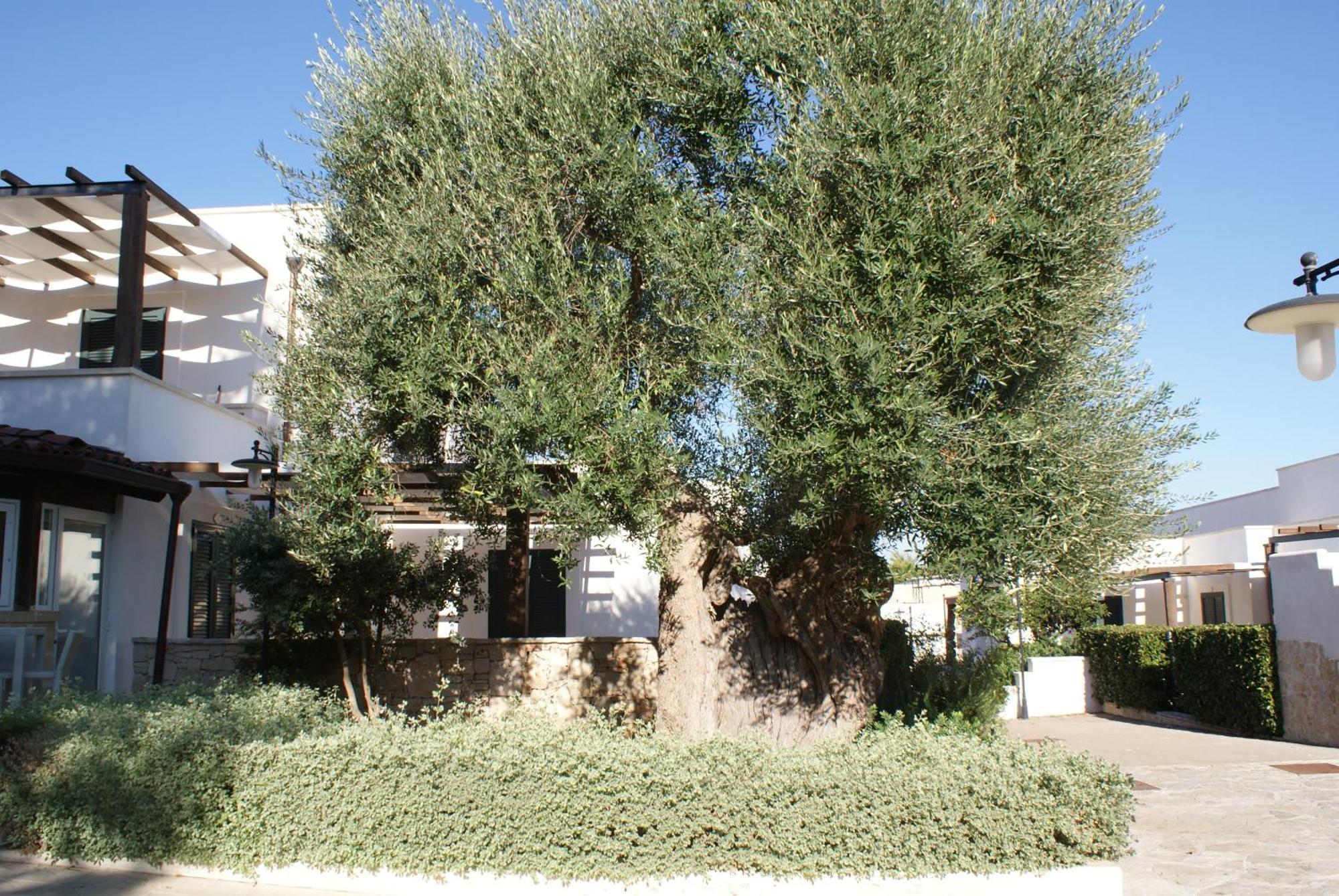 Messapia Hotel & Resort Santa Maria di Leuca Екстер'єр фото